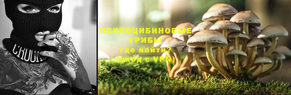 a pvp Каменногорск