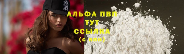 a pvp Каменногорск