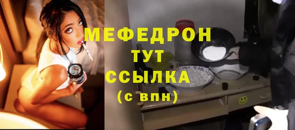 амф Каменка