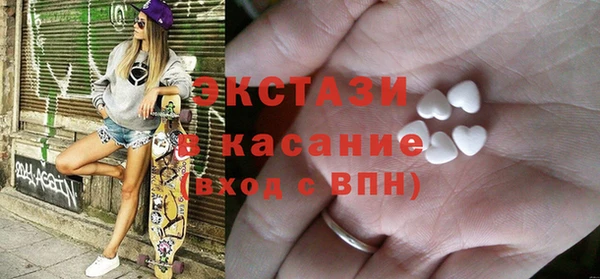 амф Каменка