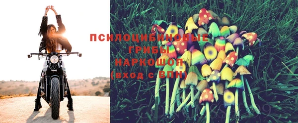 mdpv Каменск-Шахтинский