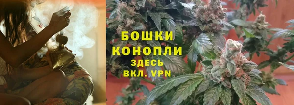 a pvp Каменногорск