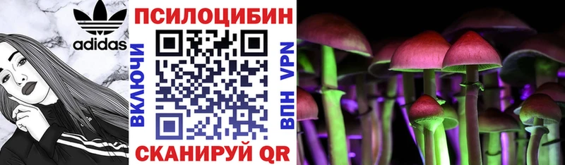 Галлюциногенные грибы Magic Shrooms Тутаев